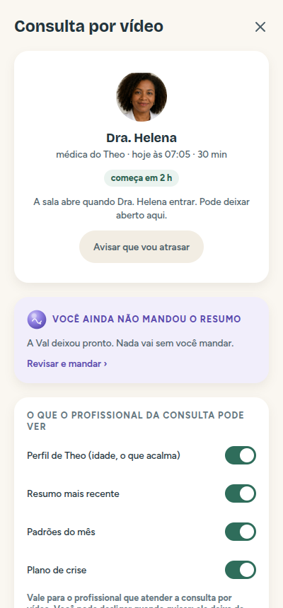 Consulta por vídeo dentro do elo, com controle do que o profissional vê